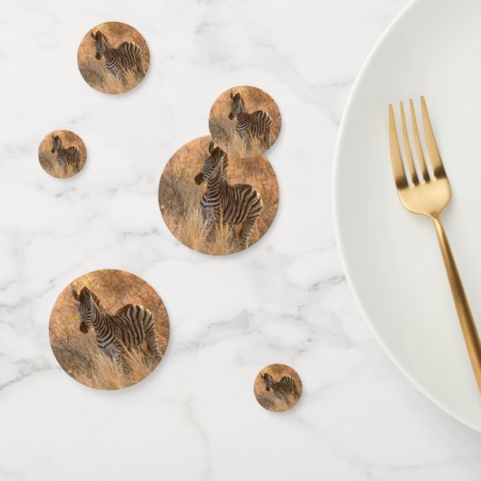 Zebra tegen zonsopgang confetti (Groep)