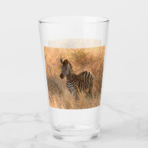 Zebra tegen zonsopgang