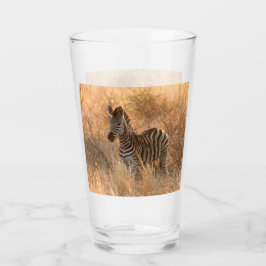 Zebra tegen zonsopgang glas