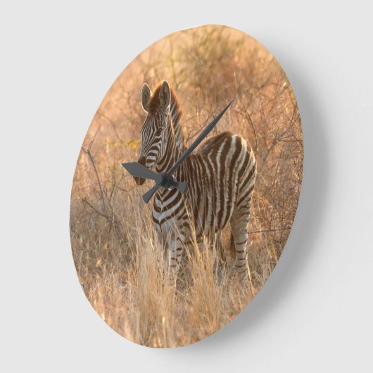 Zebra tegen zonsopgang grote klok (Hoek)