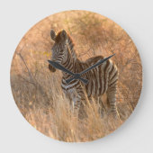 Zebra tegen zonsopgang grote klok (Voorkant)