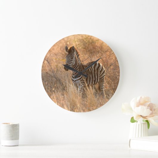 Zebra tegen zonsopgang grote klok (Huis)