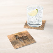 Zebra tegen zonsopgang kartonnen onderzetters (Insitu)