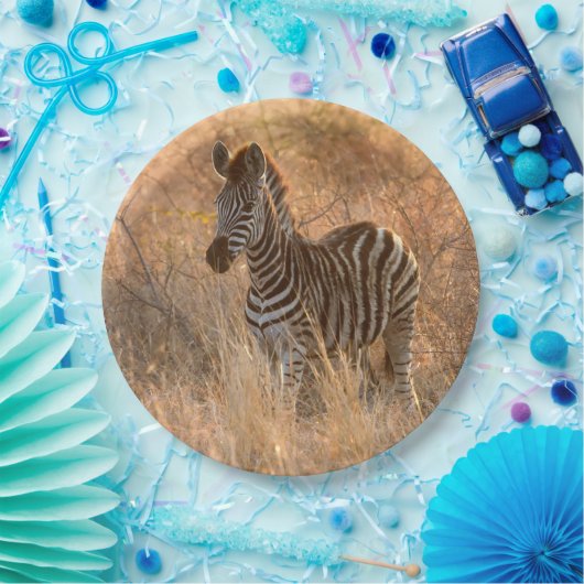 Zebra tegen zonsopgang papieren bordje (Feest)
