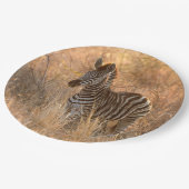 Zebra tegen zonsopgang papieren bordje (Gekanteld)