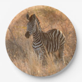 Zebra tegen zonsopgang papieren bordje (Voorkant)