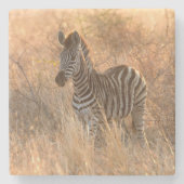 Zebra tegen zonsopgang stenen onderzetter (Voorkant)
