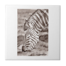 zebra tile tegeltje