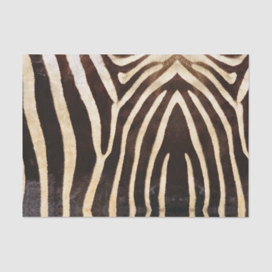 Zebra Tissuepapier (Voorkant)