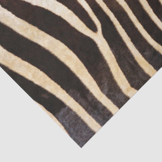Zebra Tissuepapier (Detail)