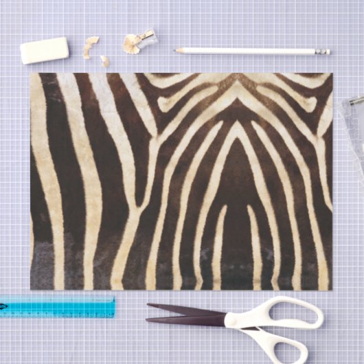 Zebra Tissuepapier (Craft)