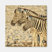 zebra-trio magneet (Voorkant)