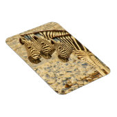zebra-trio magneet (Rechterzijde)