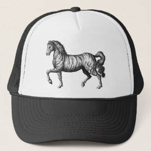 Zebra Trucker Pet