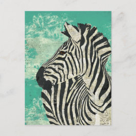Zebra Turquoise Briefkaart