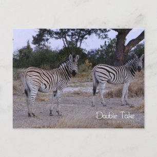 Zebra Twins Double Take Photo Briefkaart