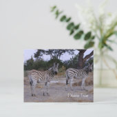 Zebra Twins Double Take Photo Briefkaart (Staand voorkant)
