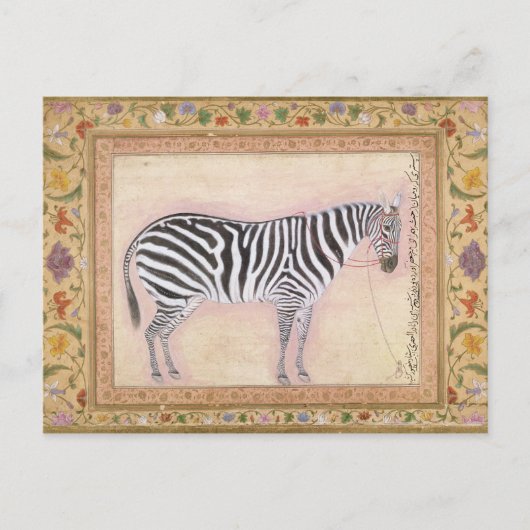 Zebra, uit het 'Minto Album', 1621 (gouache on pa) Briefkaart (Voorkant)