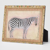 Zebra, uit het 'Minto Album', 1621 (gouache on pa) Fotoplaat (Zijkant)
