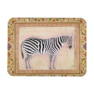 Zebra, uit het 'Minto Album', 1621 (gouache on pa) Magneet