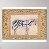 Zebra, uit het 'Minto Album', 1621 (gouache on pa) Poster (Voorkant)