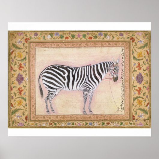 Zebra, uit het 'Minto Album', 1621 (gouache on pa) Poster (Voorkant)