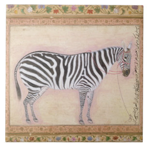 Zebra, uit het 'Minto Album', 1621 (gouache on pa) Tegeltje