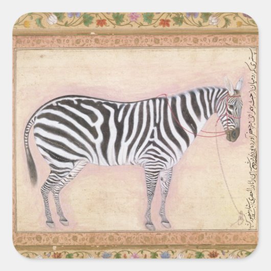 Zebra, uit het 'Minto Album', 1621 (gouache on pa) Vierkante Sticker (Voorkant)