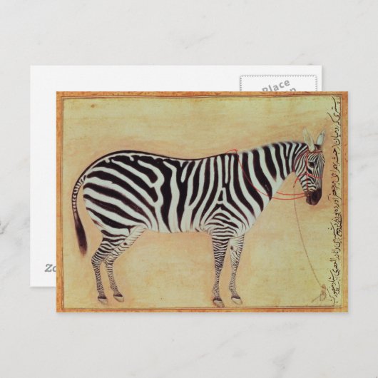 Zebra uit het "Minto Album", Mughal, 1621, Briefkaart (Voorkant / Achterkant)