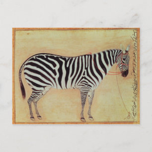 Zebra uit het "Minto Album", Mughal, 1621, Briefkaart