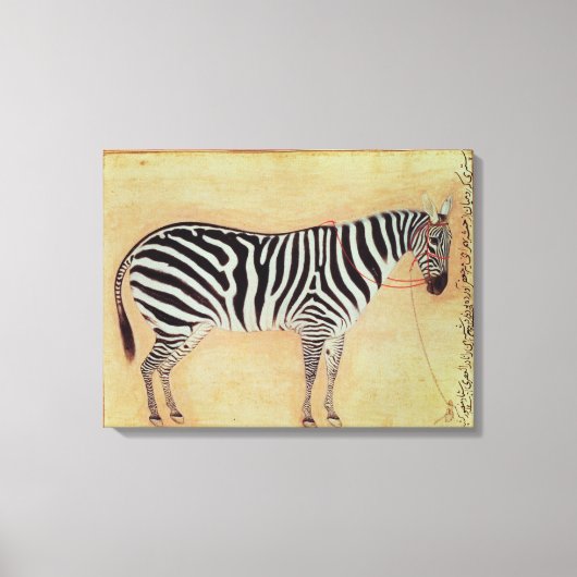 Zebra uit het "Minto Album", Mughal, 1621, Canvas Afdruk (Voorkant)