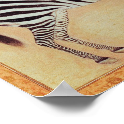 Zebra uit het "Minto Album", Mughal, 1621, Poster (Hoek)