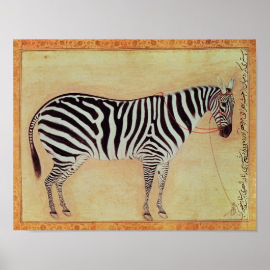 Zebra uit het "Minto Album", Mughal, 1621, Poster (Voorkant)