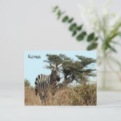 zebra uiterlijk briefkaart (Staand voorkant)