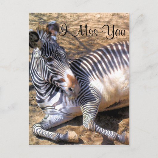Zebra van de liefde_ briefkaart (Voorkant)