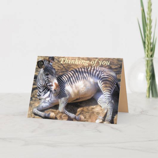 Zebra van de liefde_ kaart (Voorkant)