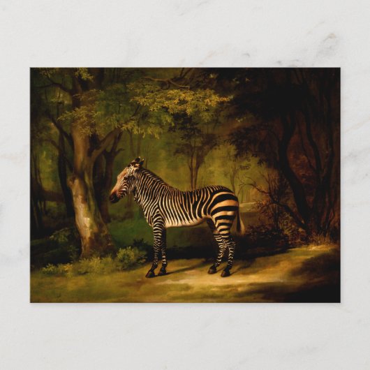 Zebra van George Stubbs (1763) Briefkaart (Voorkant)