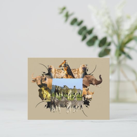 Zebra van het Afrikaanse Wildlife Lijst Blue Sky Briefkaart (Staand voorkant)