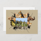 Zebra van het Afrikaanse Wildlife Lijst Blue Sky Briefkaart (Voorkant / Achterkant)