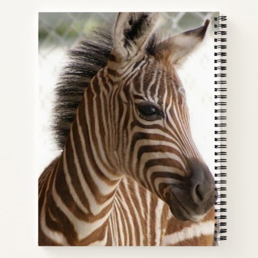 Zebra van spiraalvormig Notitieboek (Achterkant)