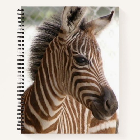 Zebra van spiraalvormig Notitieboek (Voorkant)