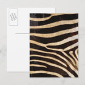 Zebra Verbergen 2 Briefkaart (Voorkant / Achterkant)