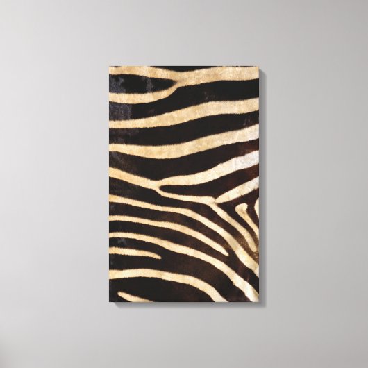 Zebra Verbergen 2 Canvas Afdruk (Voorkant)