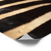 Zebra Verbergen 2 Poster (Hoek)