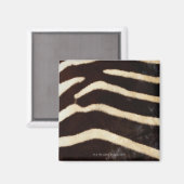 Zebra verbergen magneet (Voorkant / Achterkant)