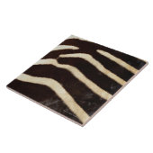 Zebra Verbergen Tegeltje (Zijkant)