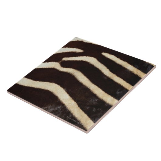 Zebra Verbergen Tegeltje (Zijkant)