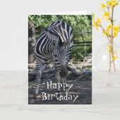 zebra Verjaardag Kaart (Gele Bloem)