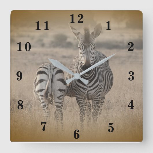 Zebra Vierkante Klok (Voorkant)