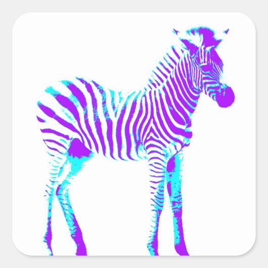 Zebra Vierkante Sticker (Voorkant)